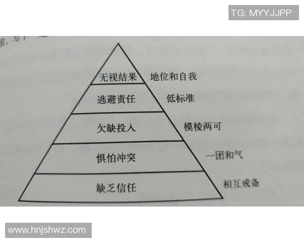 南京羽毛球队在邀请赛中的团队协作表现分析与点评