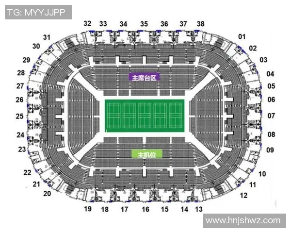 南京羽毛球队运营策略深度分析与发展前景展望